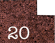 20-copy