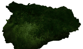 cache champignons.png