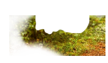 cache dir.png