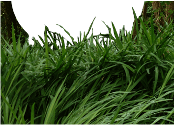 cache xingjian.png copy