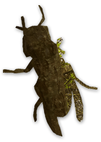 camoubug2.png