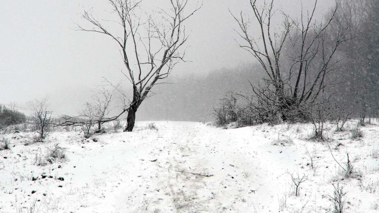 demons-chemin-lermontovjpg