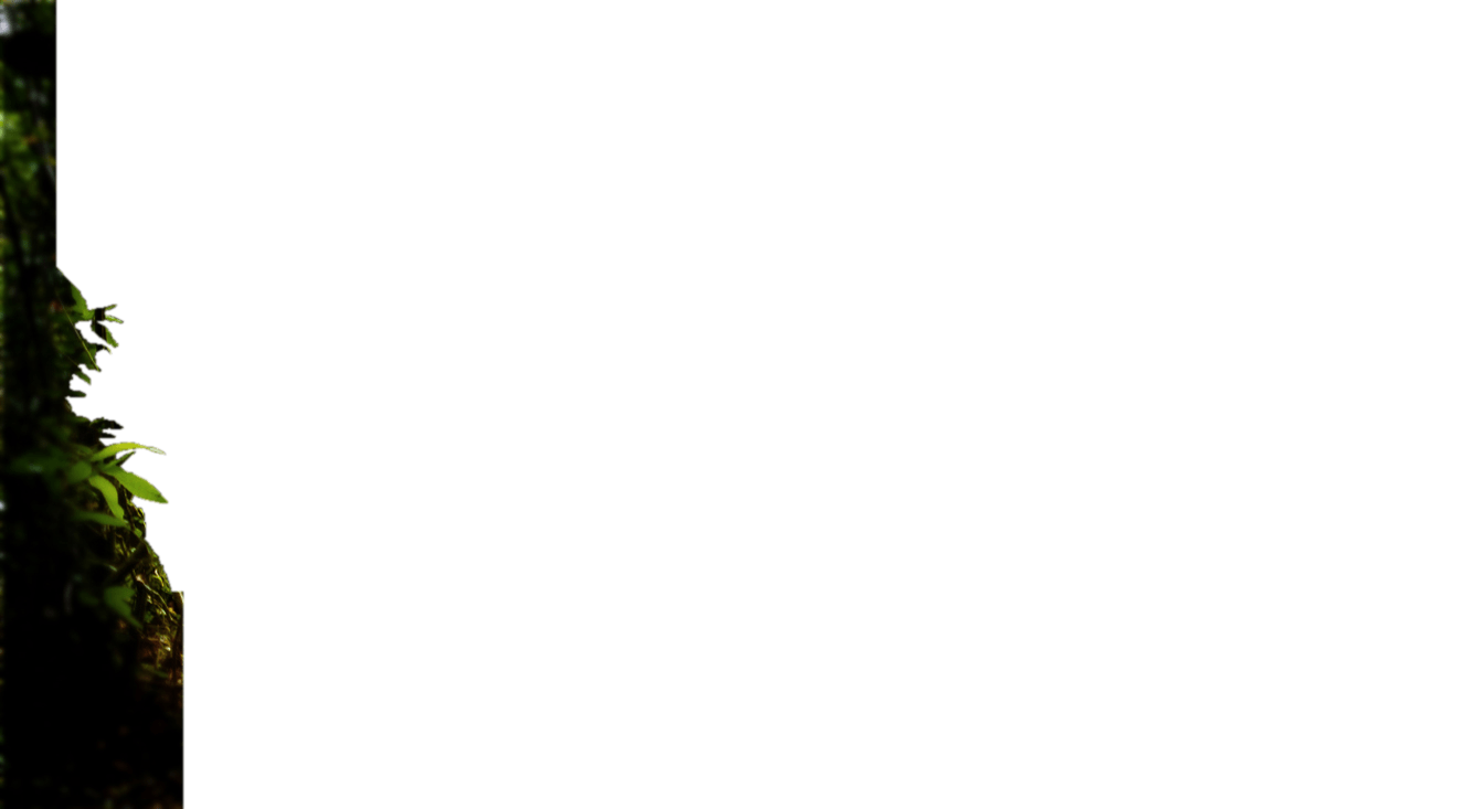 fond p intro-cachepng