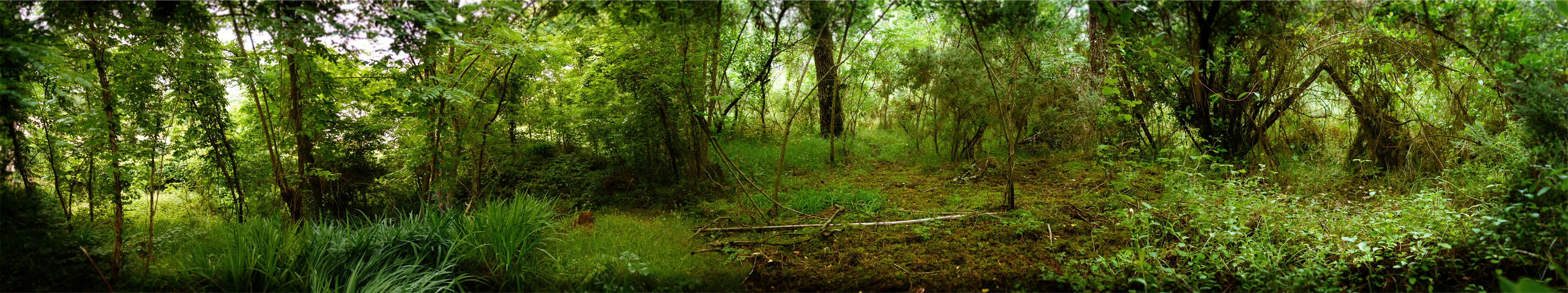 Fond  Persos P2.jpg copy