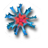 étoile lien Pen.png