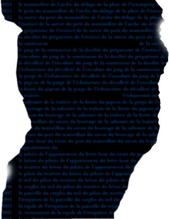 Met texte flou grand.png