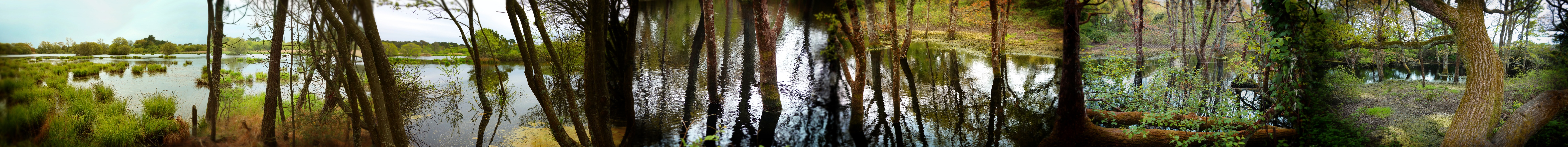 pano étang.jpg