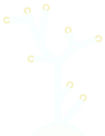 plan walden-tracé2.png